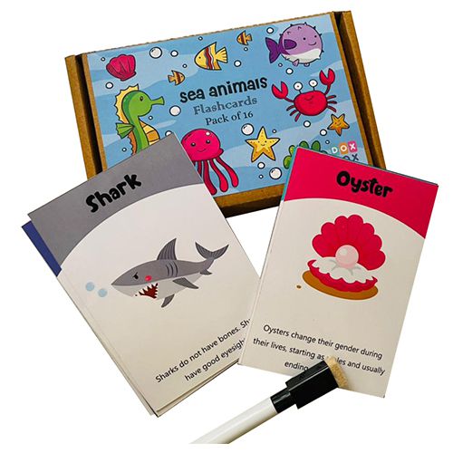 Underwater Adventure Flashcards