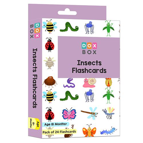 Small Creatures  24 Flashcards Pack